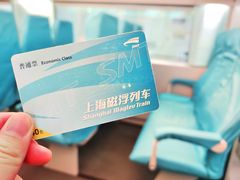 -龙阳路磁悬浮列车总站-停车场