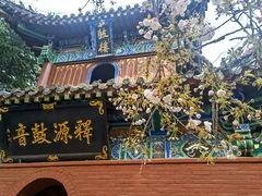 -洛阳白马寺