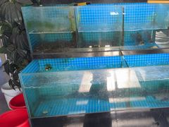 -翠茗农庄土菜馆(天目湖店)