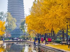 -玲珑塔公园