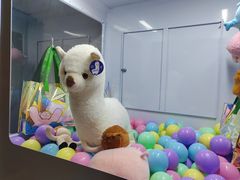 -涨巢·潮玩水疗局