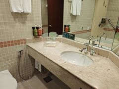 -新加坡雅庭假日酒店