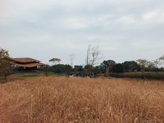 -良渚古城遗址公园