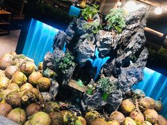 -东椰·海南椰子鸡火锅(朝阳门店)