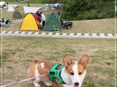 -佛手湖郊野公园