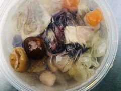 -凉凉海石花