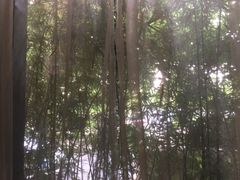 -大唐盲人按摩中心(黄山路店)