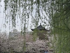 -堤角公园