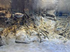 -上海海洋水族馆