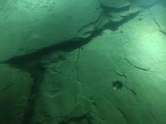 -白鹤梁水下博物馆