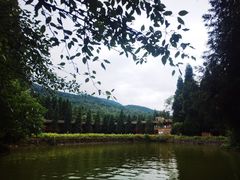 -武陵山森林公园