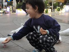 -中粮·祥云小镇