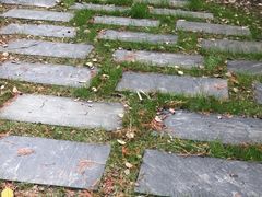 -尚贤河湿地