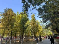 -长白岛森林公园