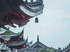 -上海东林寺(金山区)