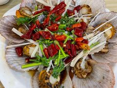 油泼扇贝-1903青岛老味道·青岛菜(栈桥店)