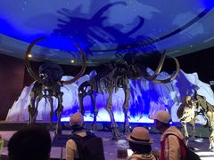 -亿利库布其七星湖沙漠生态旅游区