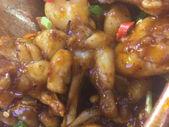 -老佛爷蛙锅•鲜蛙煲(麦凯乐店)