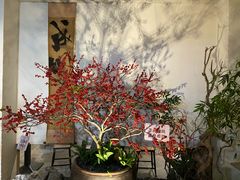 -成川茶店·潮汕工夫浓茶(万象店)