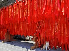 -宝通禅寺