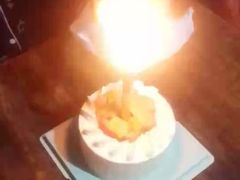 -六伴夏烘焙蛋糕·低糖动物奶油