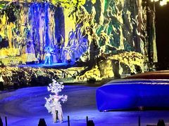 -广州长隆国际大马戏