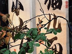 -老地方猫儿面(磁器口店)