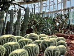 -昆明植物园