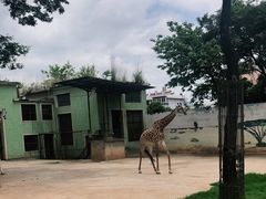 -昆明动物园