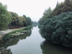 -贡湖湾湿地公园