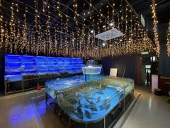 -巧克力渔家.小船海鲜胶东菜(万平口店)