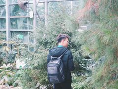 -南山植物园