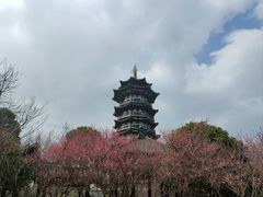 -洋湖国家湿地公园