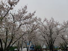 -龙美术馆(西岸馆)