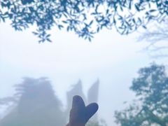 -三清山风景名胜区