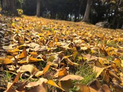 -白塘生态植物园