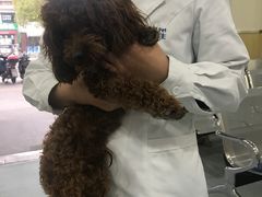-宠颐生维康宠物医院(金丰店)
