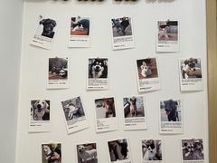 -经福元·推拿·艾灸(广兰路店)