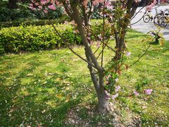 -上海科技馆(地铁站)