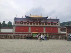 -塔尔寺-菩提树
