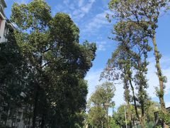 -四川大学(华西校区)