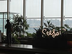 -Seesaw Coffee(朝阳大悦城店)