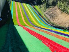 -梦幻奥陶纪景区