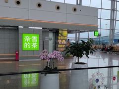 -广州白云国际机场-T2航站楼