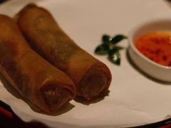 很怀旧的炸春卷（条）-小炳胜(卓悦中心店)