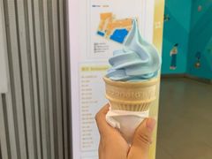 海盐椰子风味圆筒-麦当劳(中唱大厦店)