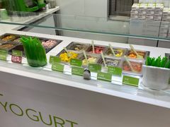 -Salud撒露欧洲冻酸奶(蓝色港湾店)