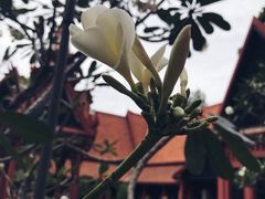 -柬埔寨国家博物馆