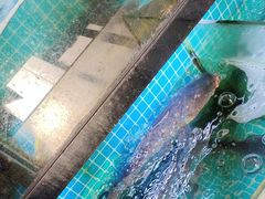 -翠茗农庄土菜馆(天目湖店)