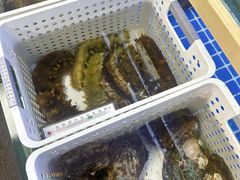 -牛天下·牛肉·海鲜·打边炉·融合菜
